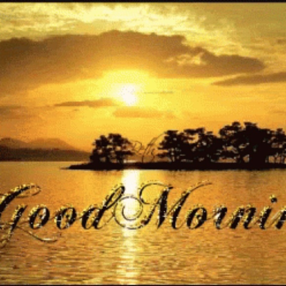 Meet your Posher, Patricia - Picture 1 of 1